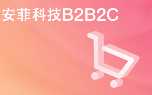 B2B系統(tǒng)建設(shè)需要多少錢