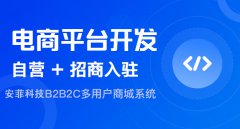 B2C獨立商城系統(tǒng)適用哪里