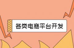 電商平臺系統(tǒng)的推廣方法，電商平臺系統(tǒng)要怎么做好營