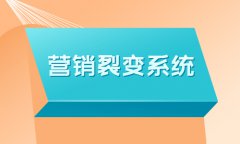 商城推廣要怎么做？關(guān)于網(wǎng)上商城推廣方案的介紹解讀