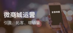 做微分銷商城要注意什么事項(xiàng)