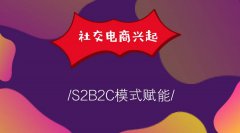 成熟的s2b2c平臺有哪些