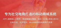 電子商務(wù)商城系統(tǒng)價格由什么決定