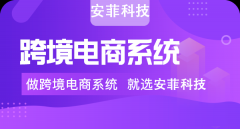 開(kāi)發(fā)一個(gè)外貿(mào)獨(dú)立商城大約多少錢(qián)