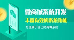 影響微商城系統(tǒng)開發(fā)費用的因素有哪些