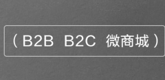 電子商務(wù)商城系統(tǒng)二次開(kāi)發(fā)問(wèn)題