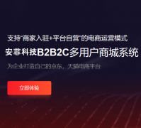 開發(fā)一個網(wǎng)上商城多少錢